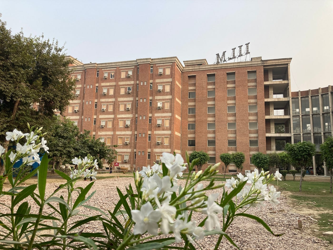 IILM University Image
