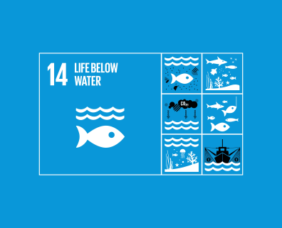 Life Below Water