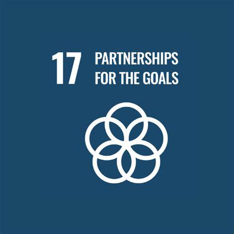 Partnerships to achieve the Goal